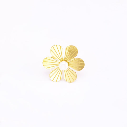 Anillo de anilla