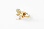 Anneau Ring